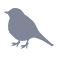 bird icon